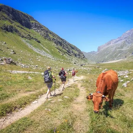 Tome, Superbe Avec Terrasse Vue Montagne * La Plagne