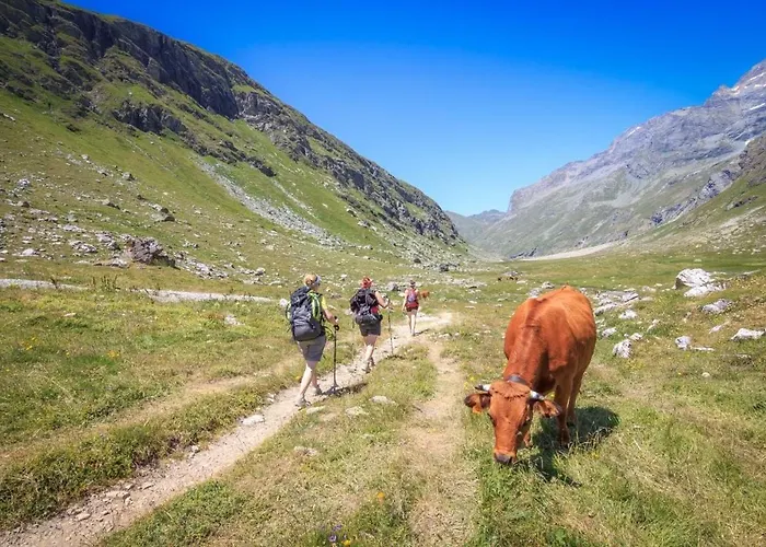 Tome, Superbe Avec Terrasse Vue Montagne * La Plagne
